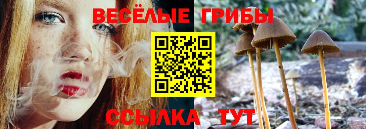 Галлюциногенные грибы ЛСД  Галлюциногенные грибы прущие грибы  Междуреченск  Вход с VPN 